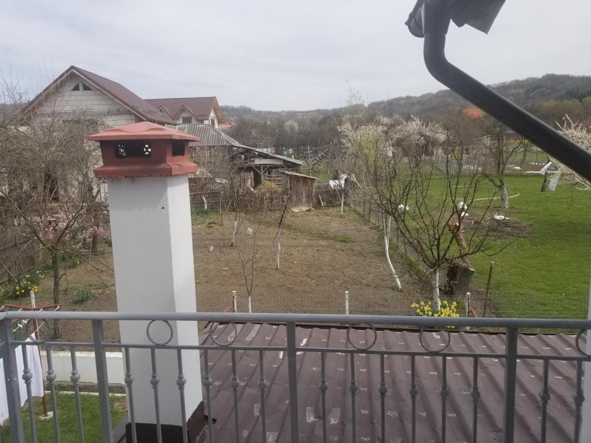 Autentic Adorabil Apartment Albestii Paminteni Luaran gambar