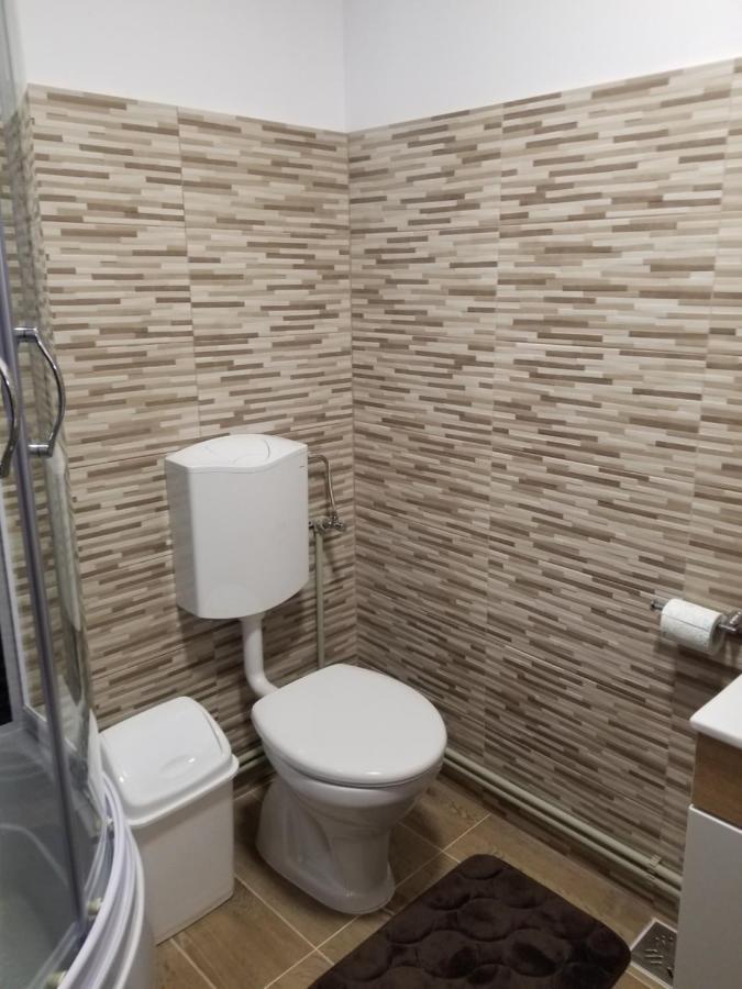 Autentic Adorabil Apartment Albestii Paminteni Luaran gambar